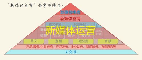 新媒體運營中的技術(shù)賦能 從流量獲取到價值深挖
